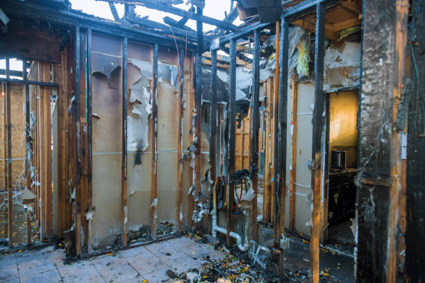 Professional Fire Damage Removal technician working in Argyle, TX
